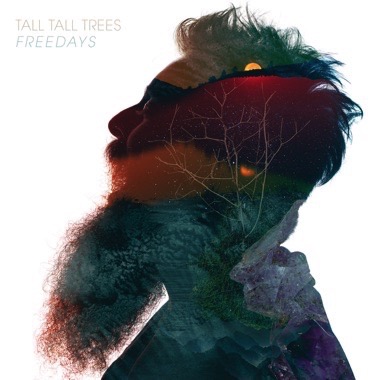 Tall Tall Trees | Freedays | 3hive.com