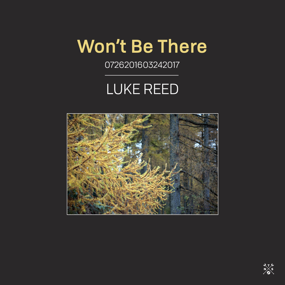 Luke Reed – 3hive