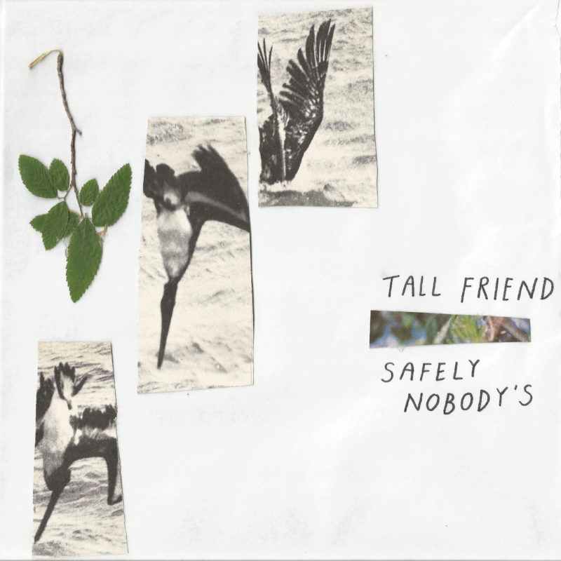 Tall Friend | Safely Nobody's | 3hive.com