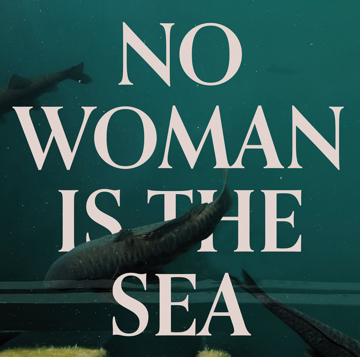 Josaleigh Pollett | No Woman Is The Sea | 3hive.com