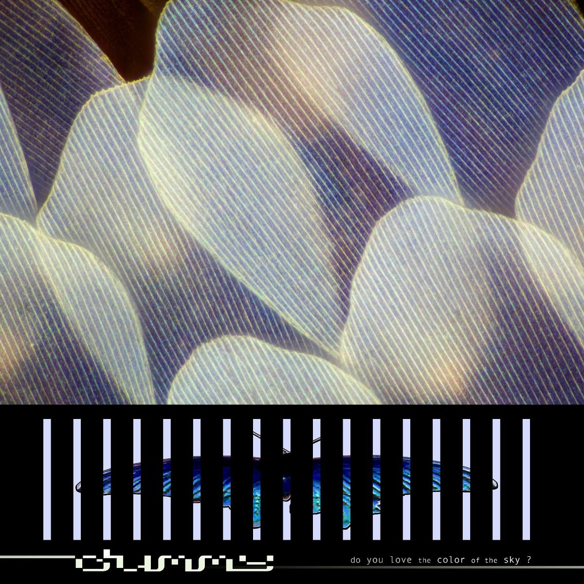 Dummy | do you love the color of the sky | 3hive.com